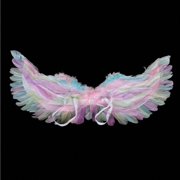 Angel Wing Feathered
Wings Costume For Adults Rainbow - Picture 3 of 7